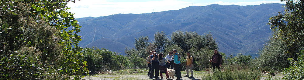 Mas Les Romagueres